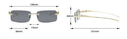 Gafas de Leopardo 🐆